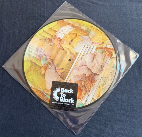 Picture vinyl genesis - picture, lp